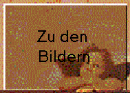 Zu den 
Bildern