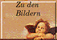 Zu den 
Bildern